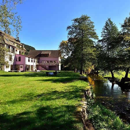 Logis Hotel Des Vosges Sewen Exteriér fotografie